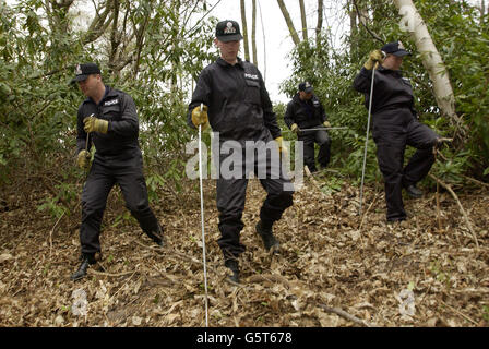 Die Polizei von Surrey überprüft den Wald in der Nähe von Cobham, Surrey, auf Hinweise bezüglich der Enttäuschung der Walton-on-Thames-Schülerin Amanda Dowler, 13. * ... Amanda, auch bekannt als Milly, wurde zuletzt auf ihrem Heimweg von der Schule in der Nähe des Bahnhofs Walton-on-Thames gesehen. Stockfoto