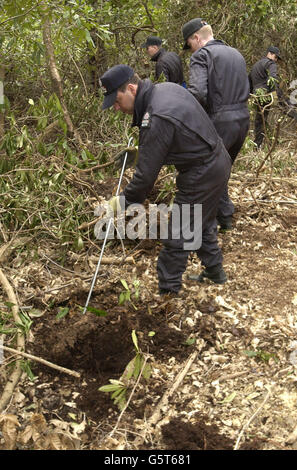 Die Polizei von Surrey sucht im Wald in der Nähe von Cobham, Surrey, nach Hinweisen auf die Enttäuschung der 13-Jahre-Schülerin Amanda Dowler von Walton-on-Thames. * Amanda, auch bekannt als Milly, wurde zuletzt am Donnerstag, dem 21. März 2002, auf ihrem Heimweg von der Schule in der Nähe des Bahnhofs Walton-on-Thames gesehen. Stockfoto