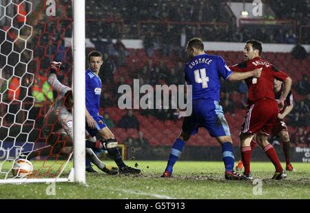 Paul Anderson (rechts versteckt) von Bristol City erzielt das zweite Tor, da Watford-Torwart Manuel Almunia (links) den Ball beim npower Championship-Spiel am Ashton Gate, Bristol, nicht über den Ball halten kann. Stockfoto