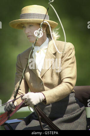 Lady Romsey im Wettbewerb der Carriage Driving Competion bei der Royal Windsor Horse Show, wo der Herzog von Edinburgh unter den Zuschauern war. Stockfoto