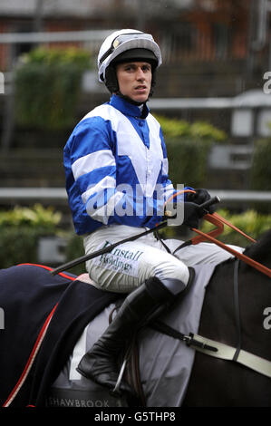 Horse Racing - Weihnachtstreffen - Tag zwei - Ascot Racecourse Stockfoto