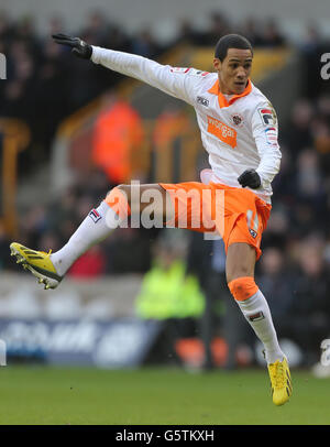 Fußball - npower Football League Championship - Wolverhampton Wanderers gegen Blackpool - Molineux. Thomas Ince von Blackpool schießt beim Spiel der npower Football League Championship in Molineux, Wolverhampton, auf das Tor. Stockfoto