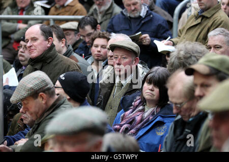 Famers und Zuschauer beobachten die Stirling Bull Sale Show, die bei United Auctions in Stirling, Schottland, stattfindet. Der weltberühmte Stirling Bull Sales wurde 1865 gegründet, der Verkauf zieht Tausende von Besuchern aus dem in- und Ausland an und ist ein integraler Bestandteil des Landwirtschaftskalenders. Die wichtigsten Stammbäume umfassen Aberdeen Angus, Beef Shorthorn, Charolais, Simmental, Limousin, British Blue, Blonde d'Aquitaine und Salers. In diesem Jahr werden erstmals Wagyu-Embryonen verkauft. Stockfoto