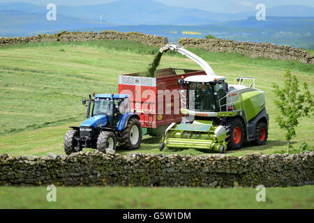 Bauern Rasen schneiden für Silage in Brampton, Cumbria, England. Stockfoto