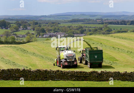 Bauern Rasen schneiden für Silage in Brampton, Cumbria, England. Stockfoto