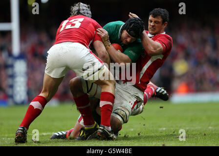 Der irische Sean O'Brien wird vom walisischen Aaron Shingler und Jonathan Davies während des RBS 6 Nations-Spiels im Millennium Stadium in Cardiff angegangen. Stockfoto