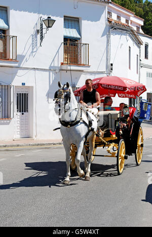 Touristen ein Ausflug in ein Pferd gezogen Schlitten entlang Calle Malaga, Mijas, Provinz Malaga, Andalusien, Südspanien, Westeuropa. Stockfoto