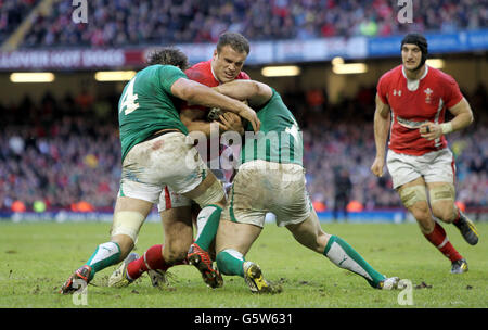 Rugby-Union - RBS 6 Nations Championship 2013 - Wales / Irland - Millennium Stadium Stockfoto