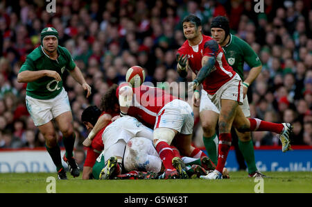 Rugby-Union - RBS 6 Nations Championship 2013 - Wales / Irland - Millennium Stadium Stockfoto