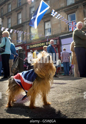 Ein Hund, der von seinem Besitzer in die Union Flag für Jubilee-Feierlichkeiten gehüllt wird, schaut auf die schottische Saltire, auf einer Straßenparty am Bridgeton Cross im East End von Glasgow. Stockfoto