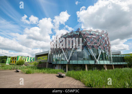 Sonnigen Sommertag und weiße Wolken im Wissenschaftspark Nottingham, Nottinghamshire, England UK Stockfoto