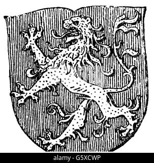 Heraldik, Wappen, Deutschland, Stadtwappen, Auerbach, Holzstich, 1892, Zusatz-Rechte-Clearenzen-nicht vorhanden Stockfoto