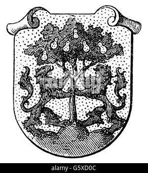 Heraldik, Wappen, Deutschland, Stadtwappen, Pirna, Holzstich, 1893, Zusatz-Rechte-Clearenzen-nicht vorhanden Stockfoto