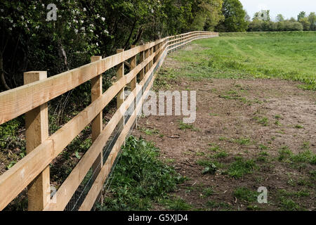 Neu installierte Holzzäune am Perimeter zu einem großen Weidefeld, am Rande eines Waldes in der Mitte des Sommers gesehen. Stockfoto