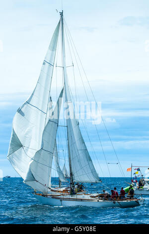 Les Voiles du Vieux-Port Stockfoto