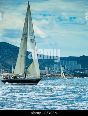 Les Voiles du Vieux-Port Stockfoto