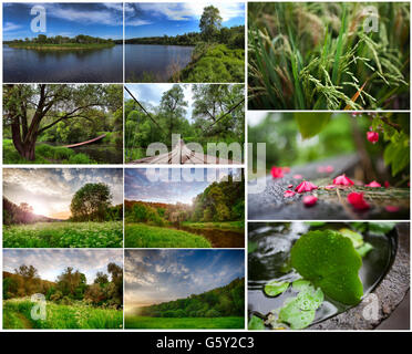 Satz von Sommerlandschaften Stockfoto