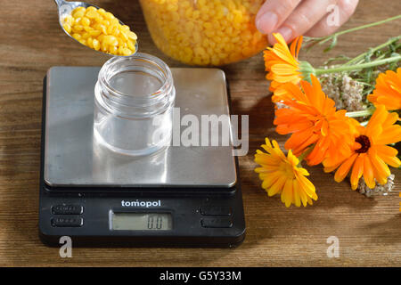 Produktion, Schafgarbe und Ringelblume Salbe / (Calendula Officinalis), (Achillea Millefolium) Stockfoto