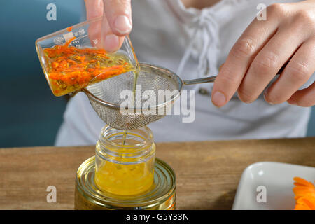 Produktion, Schafgarbe und Ringelblume Salbe / (Calendula Officinalis), (Achillea Millefolium) Stockfoto