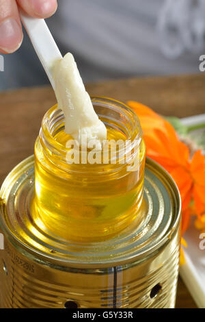 Produktion, Schafgarbe und Ringelblume Salbe / (Calendula Officinalis), (Achillea Millefolium) Stockfoto