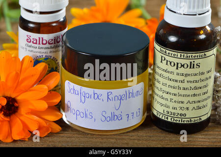 Produktion, Schafgarbe und Ringelblume Salbe / (Calendula Officinalis), (Achillea Millefolium) Stockfoto
