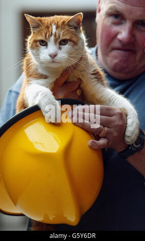 Feuerwehrmann Pete Dowling mit Station Katze Angus Stockfoto