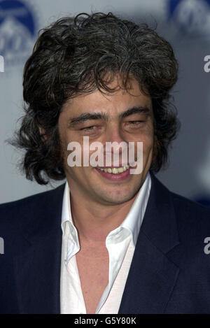 Größter Party - Benicio Del Toro Stockfoto