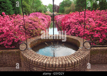 Die Blumen in Niederlande Stockfoto