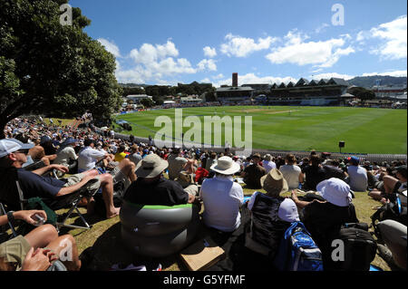 Gesamtansicht am ersten Tag des zweiten Testmatches im Hawkins Basin Reserve, Wellington, Neuseeland. Stockfoto