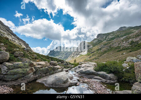 Fluss Golo, bergige Landschaft, Natur Naturpark von Korsika, Parc Naturel Régional de Corse, Korsika, Frankreich Stockfoto