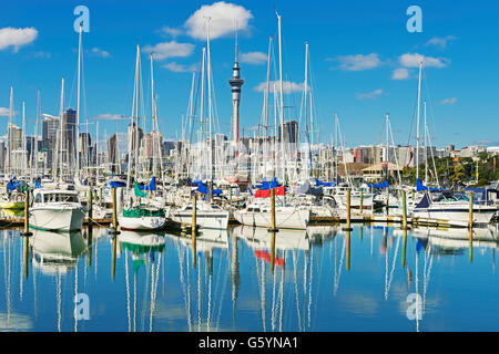 Skyline und Yachten an der Westhaven Marina, Auckland, Nordinsel, Neuseeland Stockfoto