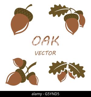Vektor flach Eiche Icons set Stock Vektor