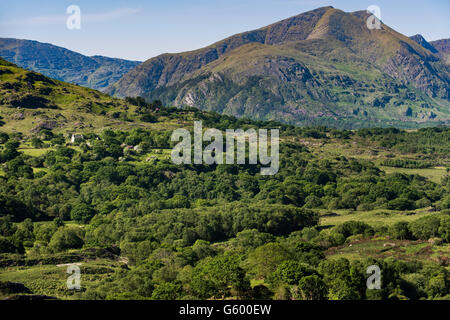 Isoliertes Bauernhaus, Caha Mountains Beara Peninsula, , Irland Stockfoto