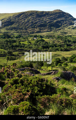 Isoliertes Bauernhaus, Caha Mountains Beara Peninsula, , Irland Stockfoto