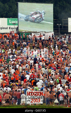 Superbikes in Brands Hatch - crowd Stockfoto