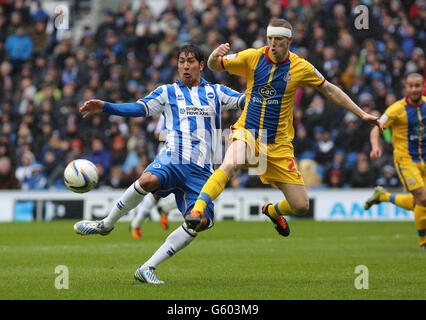 Leonardo Ulloa (links) von Brighton wird während des npower Football League Championship-Spiels im Amex Stadium, Brighton, von Peter Ramage vom Crystal Palace herausgefordert. Stockfoto