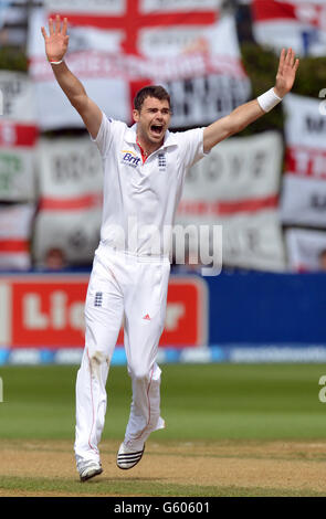 Englands James Anderson appelliert beim zweiten Testspiel im Hawkins Basin Reserve, Wellington, Neuseeland Stockfoto