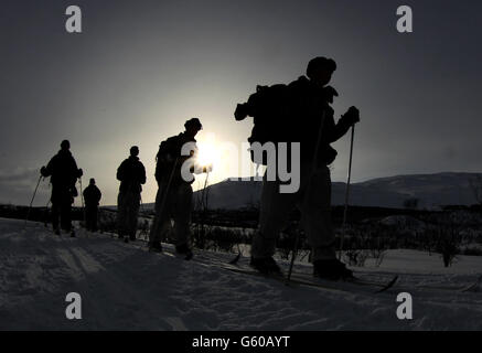 Marines Ski während des Trainings, als Truppen nehmen an der Übung Haarspring 2013, die sich auf das Überleben bei kaltem Wetter und Kriegstraining für Royal Marines Commando Reservisten in den Bergen bei Porsanger Garrison bei Lakselv, Norwegen konzentriert. Stockfoto