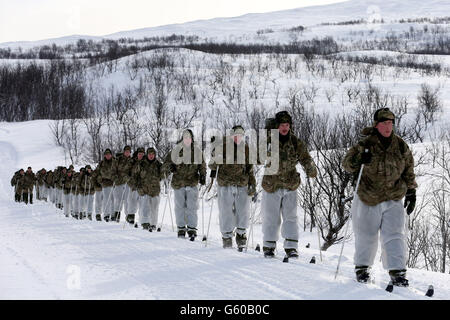 Marines Ski während des Trainings, als Truppen nehmen an der Übung Haarspring 2013, die sich auf das Überleben bei kaltem Wetter und Kriegstraining für Royal Marines Commando Reservisten in den Bergen bei Porsanger Garrison bei Lakselv, Norwegen konzentriert. Stockfoto