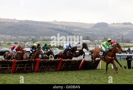 Pferderennen - 2013 Cheltenham Festival - Tag 1 - Cheltenham Rennbahn. Pferde in Aktion während der OLBG Mares' Hurdle am ersten Tag des Cheltenham Festivals 2013 auf der Cheltenham Racecourse, Gloucestershire. Stockfoto