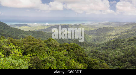 Blick von El Yunque National Forest, Blick nach Norden, nach San Juan, in der Ferne. Stockfoto