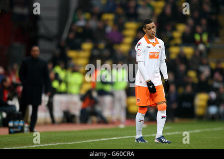 Fußball - Npower Football League Championship - Watford V Blackpool - Vicarage Road Stockfoto