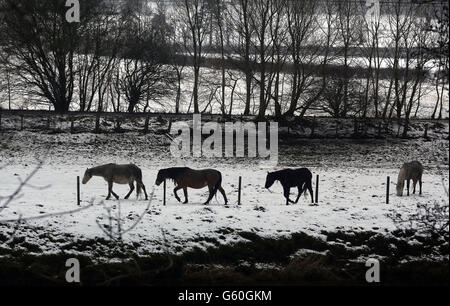 Das Wetter im Frühling 19. März Stockfoto