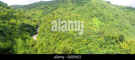 Panoramablick auf Rio sabana und El Yunque National Forest, Blick nach Westen über den Rio cubuy, Puerto Rico. Stockfoto