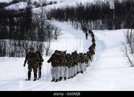 Marines Ski während der Übung Haarspring 2013, die sich auf das Überleben bei kaltem Wetter und Kriegstraining für Royal Marines Commando Reservisten in der Bergkette in der Nähe von Porsanger Garrison bei Lakselv, Norwegen konzentriert. Stockfoto