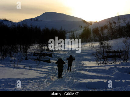 Marines Ski während der Übung Haarspring 2013, die sich auf das Überleben bei kaltem Wetter und Kriegstraining für Royal Marines Commando Reservisten in der Bergkette in der Nähe von Porsanger Garrison bei Lakselv, Norwegen konzentriert. Stockfoto