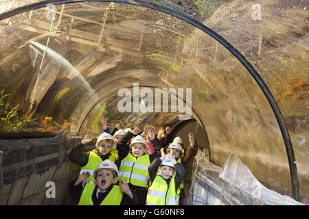 Manchester-Aquarien Stockfoto