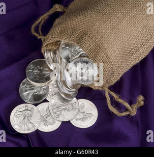 Leinensack silbernen Adler Dollar. Stockfoto