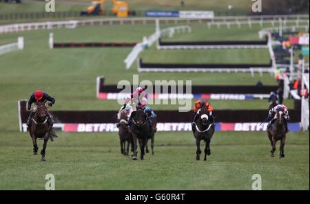 Horse Racing - 2013 Cheltenham Festival - Tag vier - Cheltenham Racecourse Stockfoto