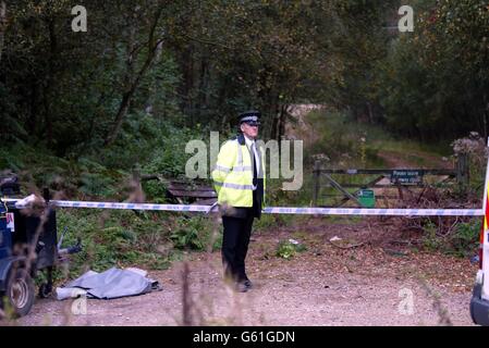 Untersuchung in Yateley Wäldern Stockfoto